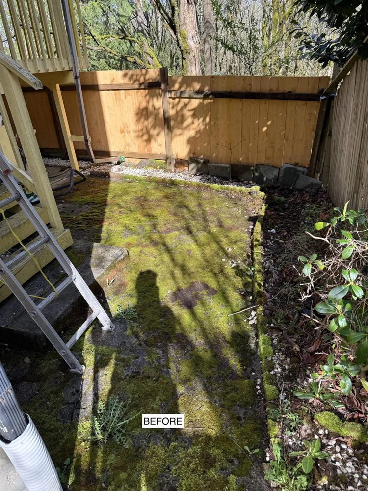Concrete patio before moss removal