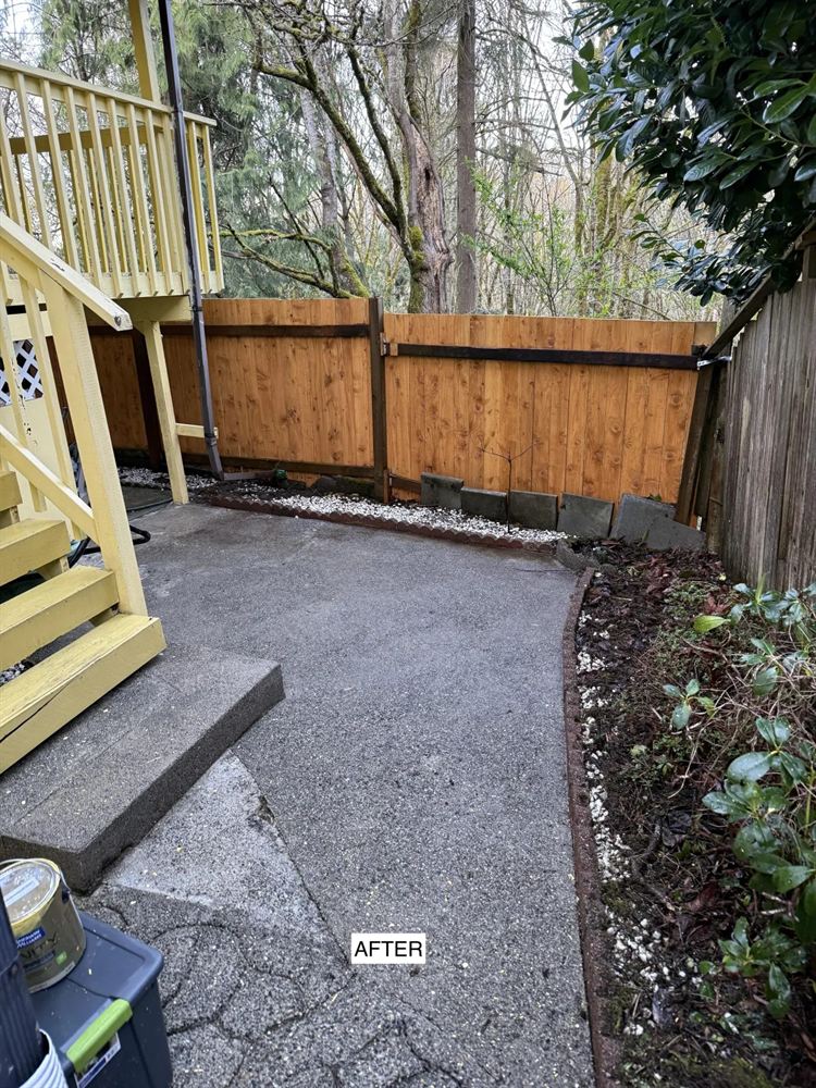 Concrete patio after moss removal