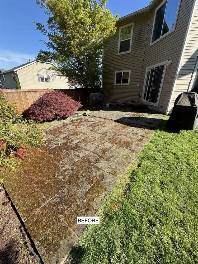 Paver patio before cleaning