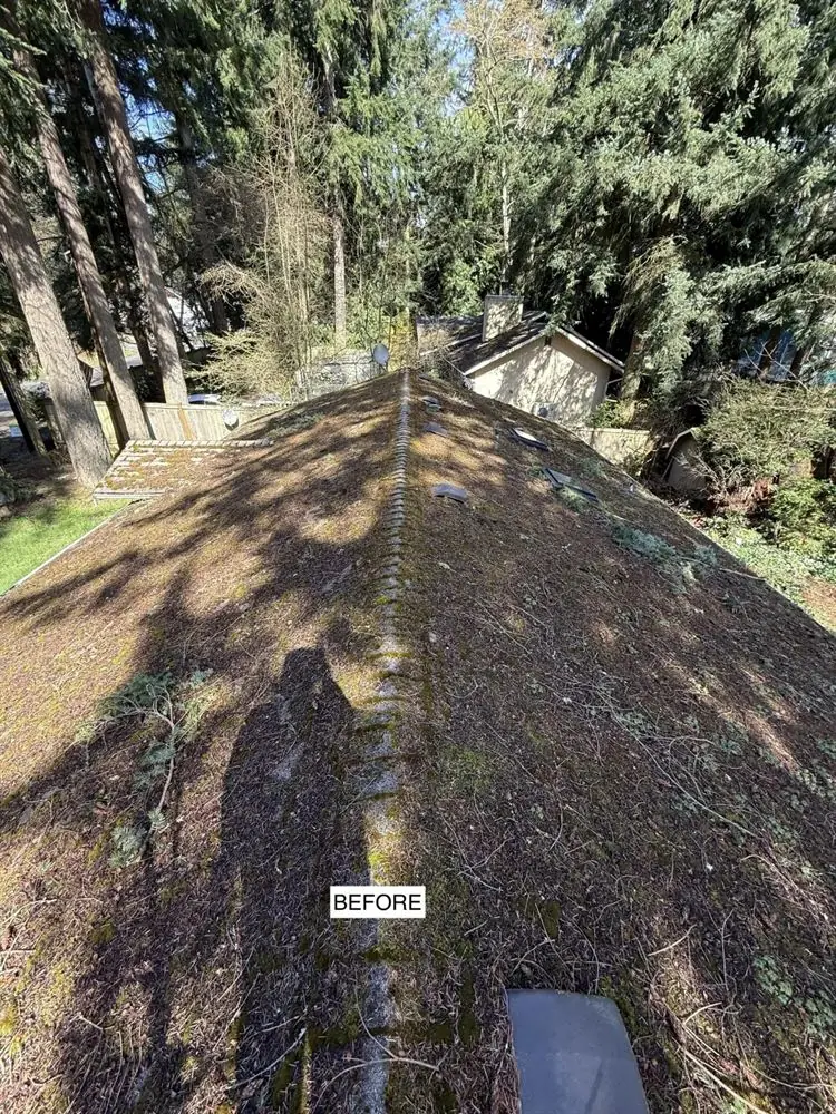 Roof covered in moss before cleaning