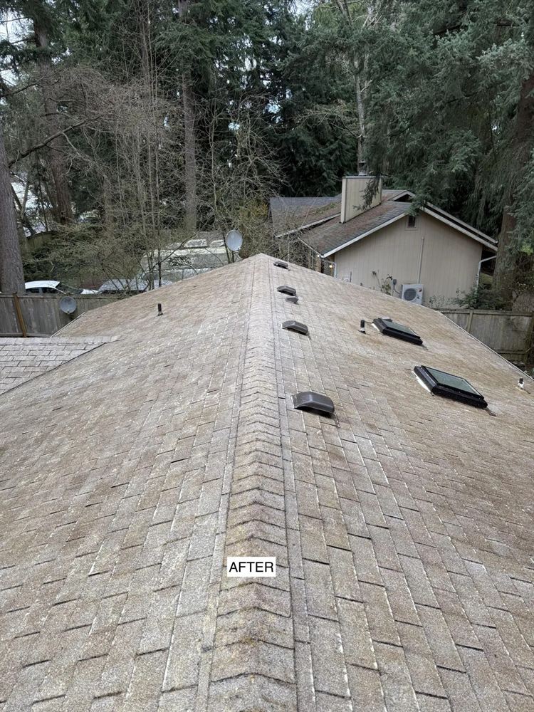 Roof after moss removal