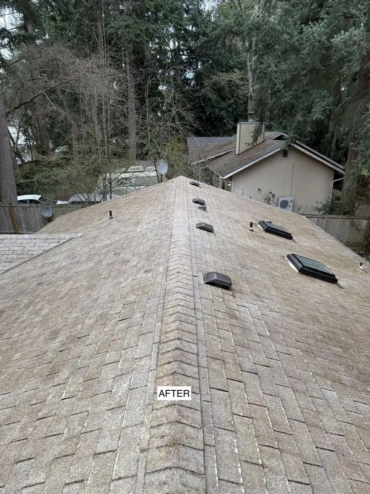 Roof after moss removal
