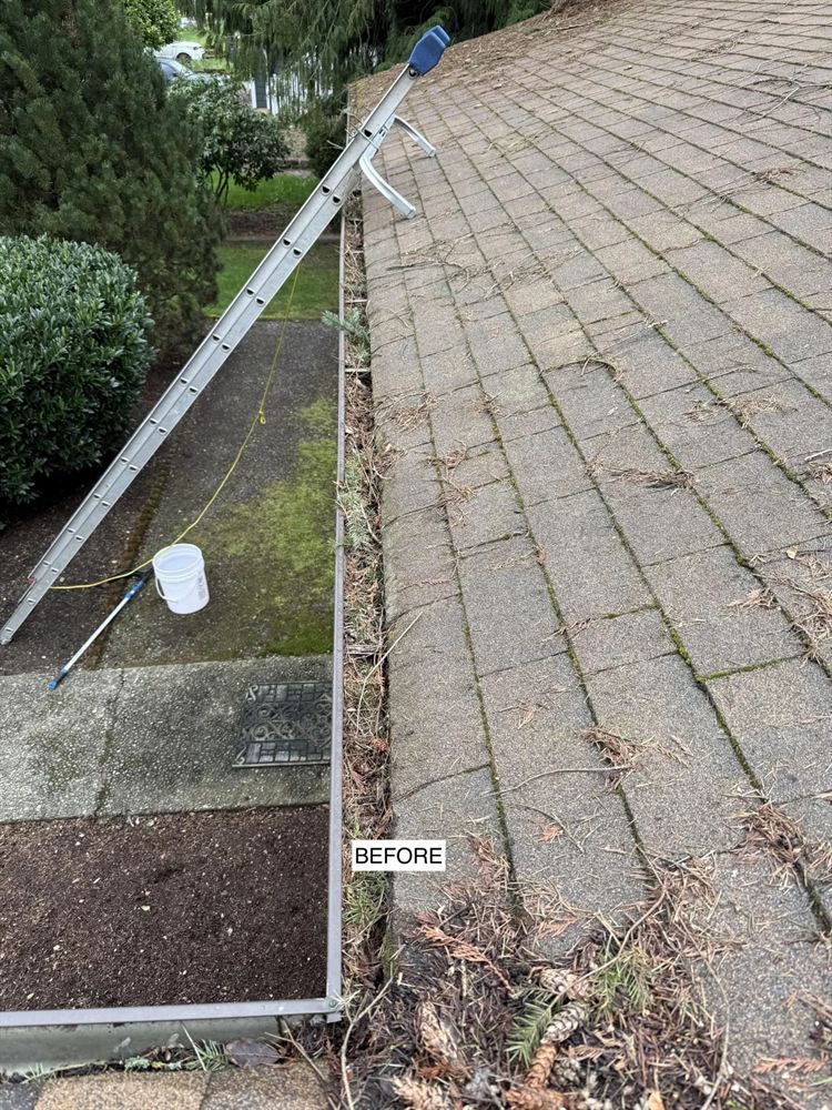 Gutter before cleaning