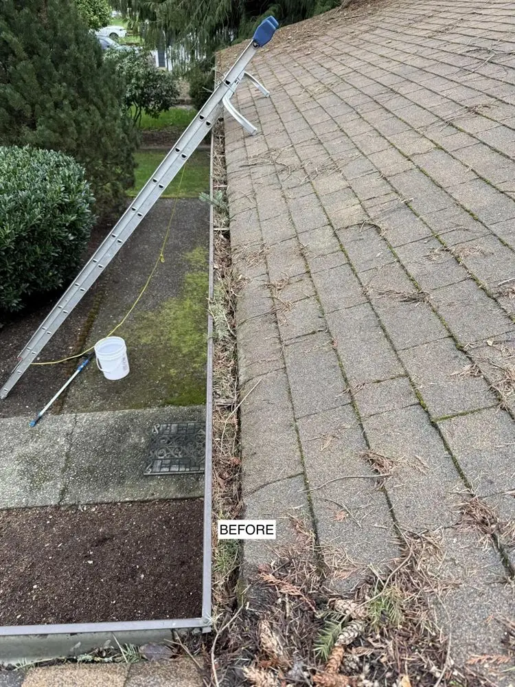 Clogged gutter before cleaning
