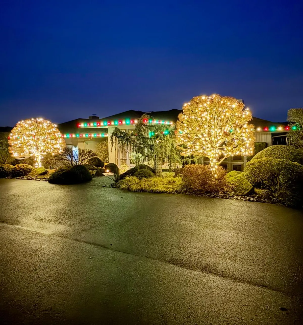 Ranch home with roofline holiday lights and lit trees